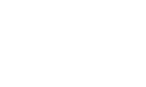 Anyfox Logo