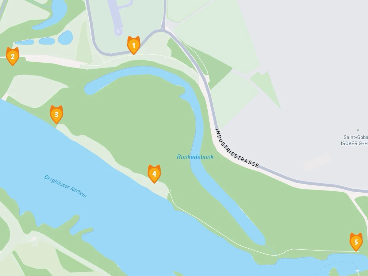 Trollsichtung am Berghäuser Altrhein